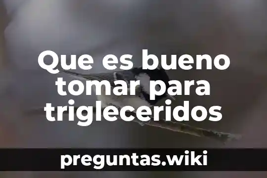 Que es bueno tomar para trigleceridos