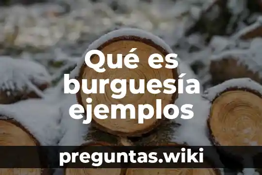 Qué es burguesía ejemplos
