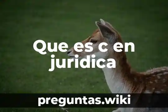 Que es c en juridica