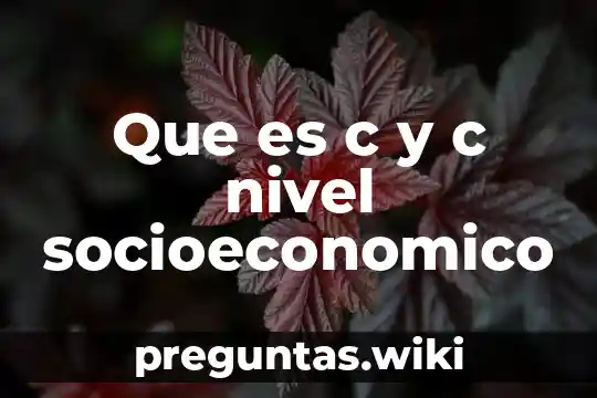Que es c y c nivel socioeconomico