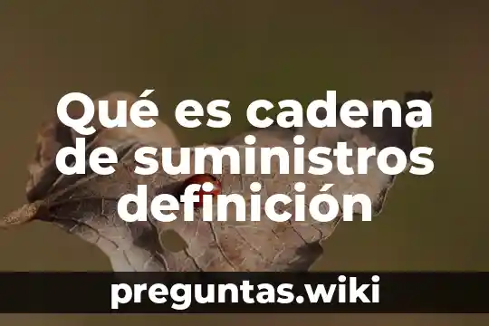 Qué es cadena de suministros definición
