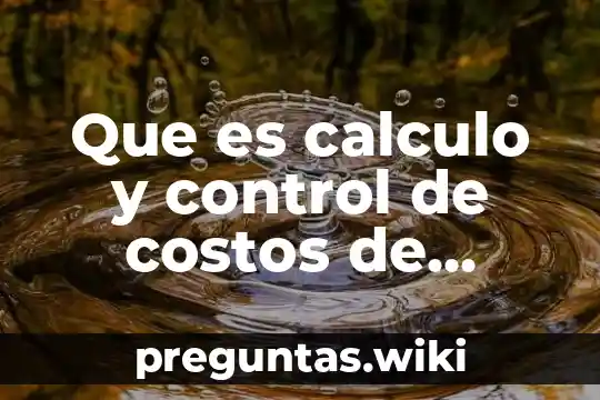 Que es calculo y control de costos de produccion
