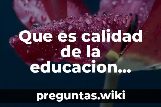 Que es calidad de la educacion normas