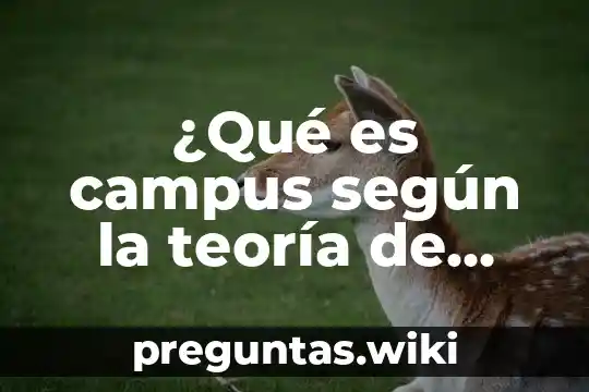 ¿Qué es campus según la teoría de Bourdieu?