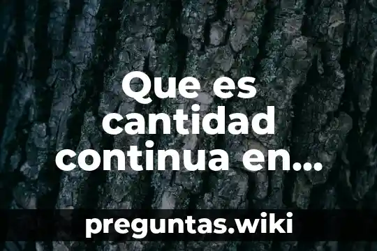 Que es cantidad continua en filosofia