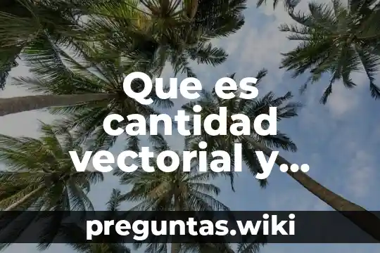 Que es cantidad vectorial y ejemplos