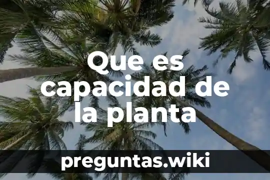 Que es capacidad de la planta
