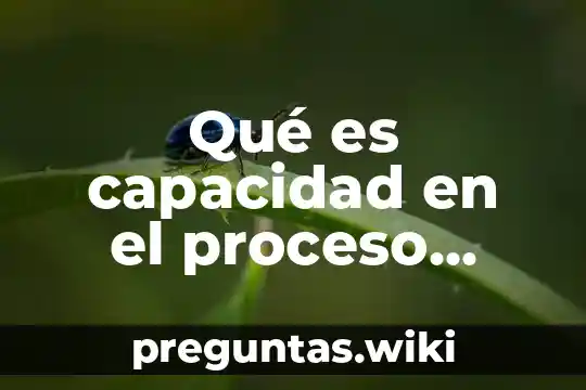 Qué es capacidad en el proceso derecho civil mexicano
