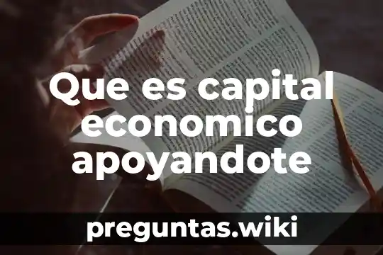 Que es capital economico apoyandote
