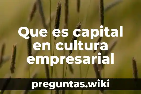 Que es capital en cultura empresarial