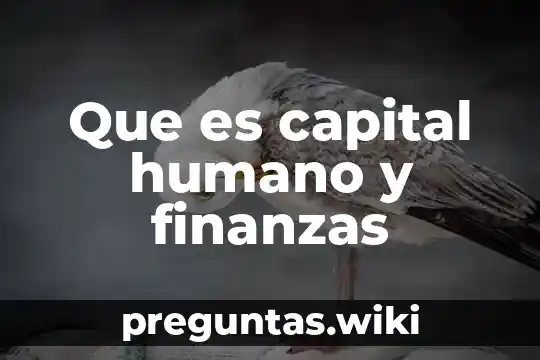 Que es capital humano y finanzas