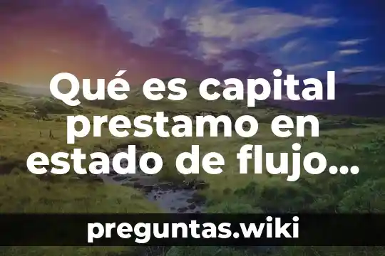 Qué es capital prestamo en estado de flujo de efectivo