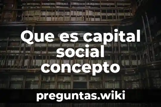 Que es capital social concepto