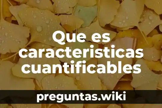 Que es caracteristicas cuantificables