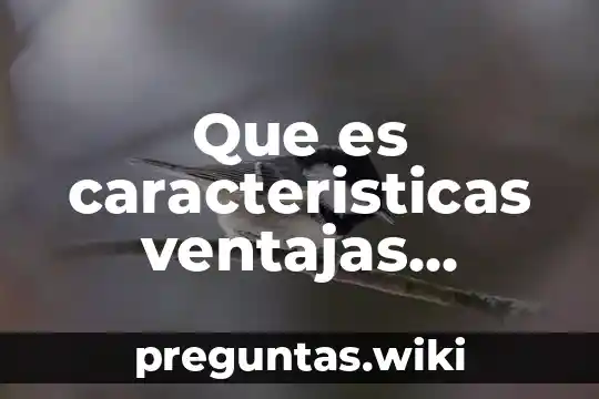 Que es caracteristicas ventajas desventajas de las organizaciones integradoras