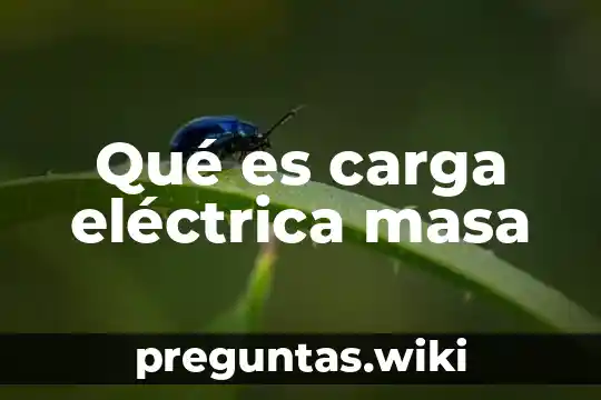 Qué es carga eléctrica masa