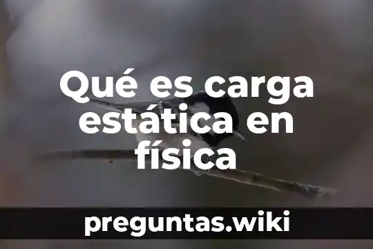Qué es carga estática en física