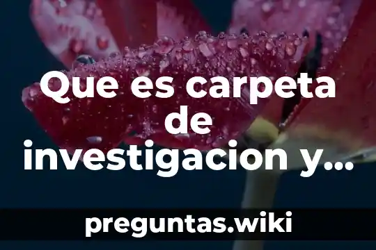 Que es carpeta de investigacion y sus elementos