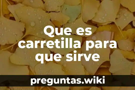 Que es carretilla para que sirve
