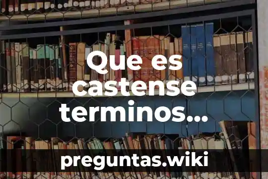Que es castense terminos historia