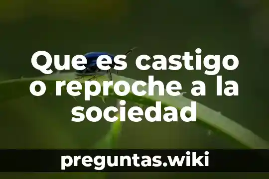 Que es castigo o reproche a la sociedad
