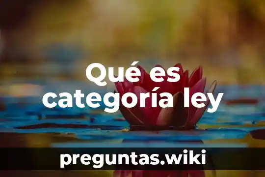Qué es categoría ley