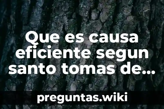 Que es causa eficiente segun santo tomas de aquino