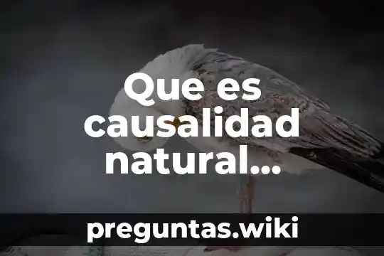 Que es causalidad natural vertiente griega
