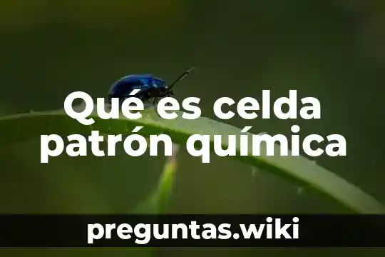 Qué es celda patrón química