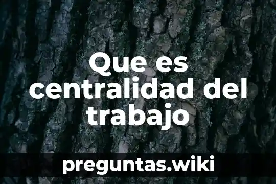 Que es centralidad del trabajo