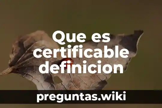 Que es certificable definicion