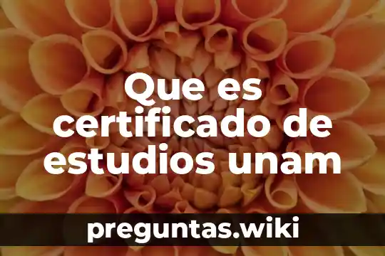 Que es certificado de estudios unam