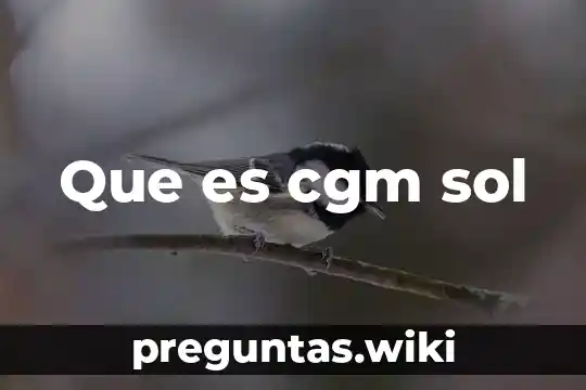Que es cgm sol