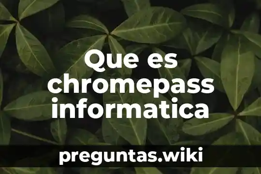 Que es chromepass informatica