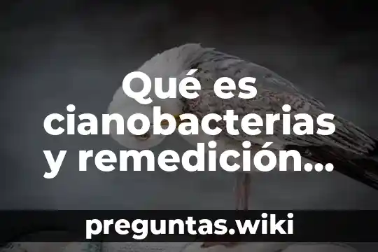 Qué es cianobacterias y remedición del agua