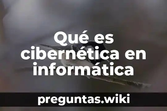 Qué es cibernética en informática
