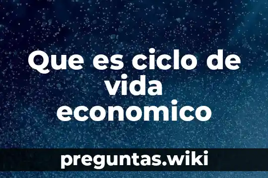 Que es ciclo de vida economico
