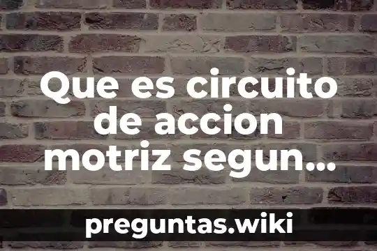 Que es circuito de accion motriz segun autores