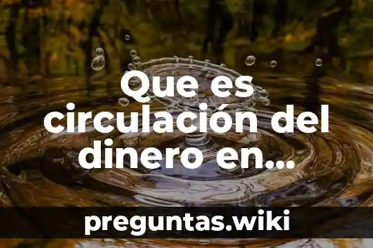 Que es circulación del dinero en economía