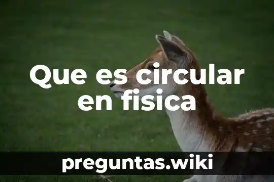 Que es circular en fisica