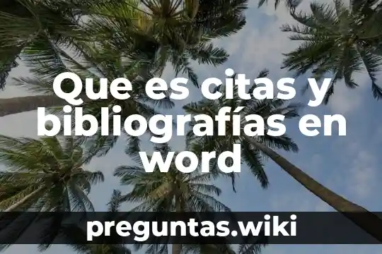 Que es citas y bibliografías en word