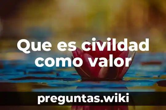 Que es civildad como valor