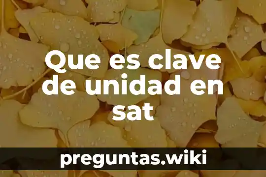 Que es clave de unidad en sat