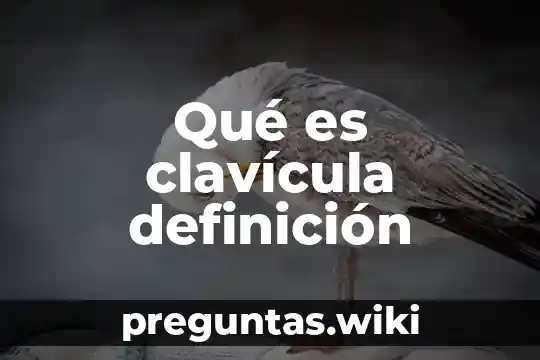 Qué es clavícula definición