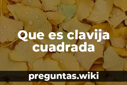 Que es clavija cuadrada