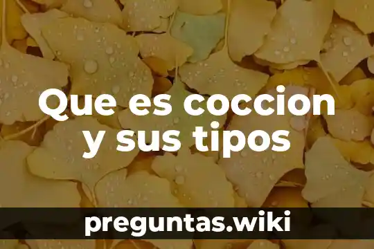 Que es coccion y sus tipos