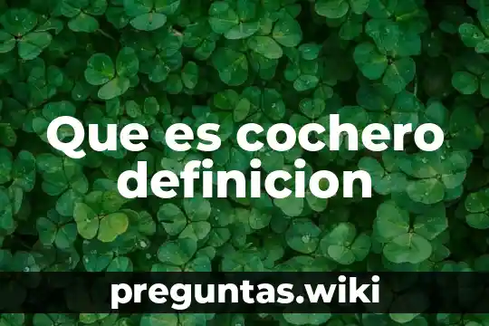 Que es cochero definicion