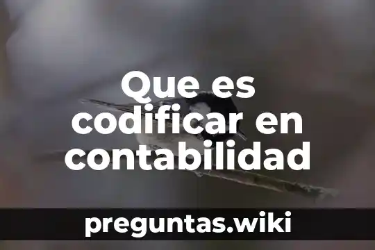 Que es codificar en contabilidad
