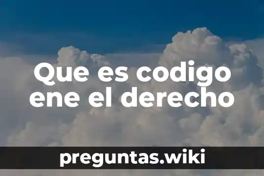 Que es codigo ene el derecho
