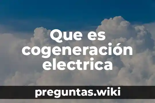 Que es cogeneración electrica